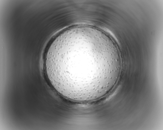 X0000089741125200706210858