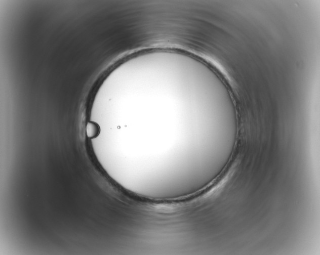 X0000089741126200706210858