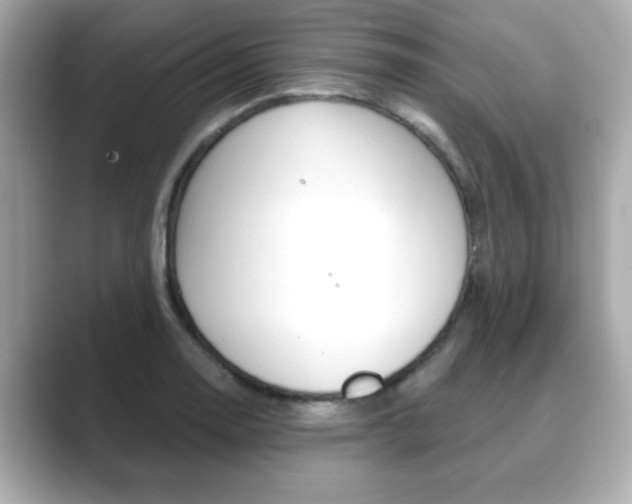 X0000089741130200706210858