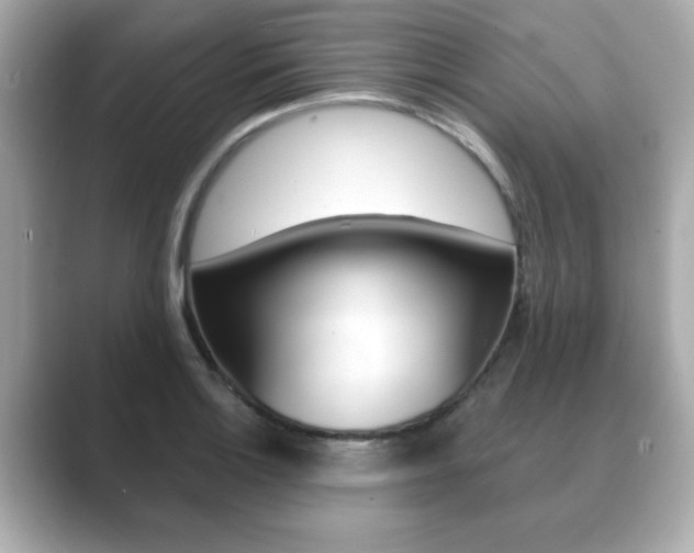 X0000089741132200706210858