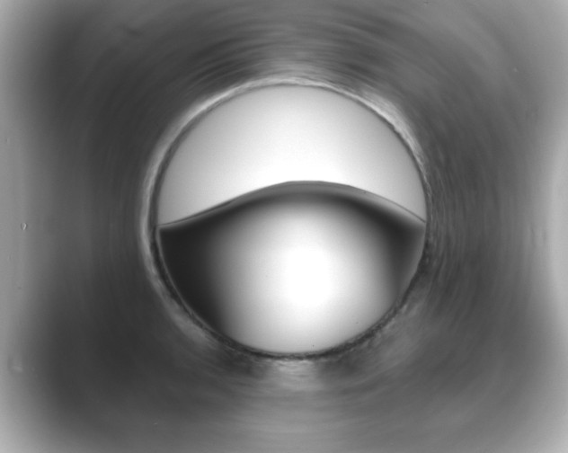 X0000089741136200706210858