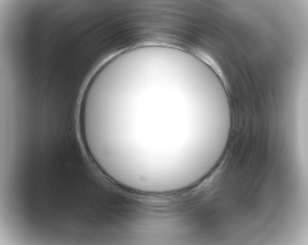 X0000089741138200706210858