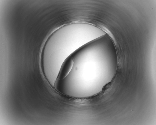 X0000089741146200706210859