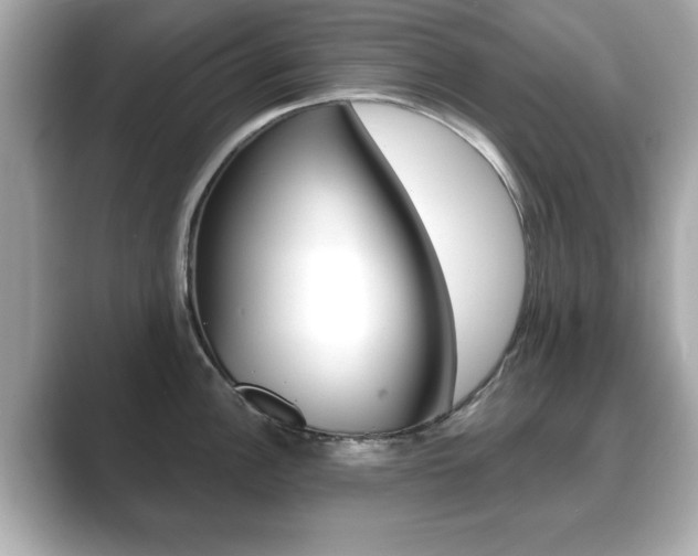 X0000089741148200706210859