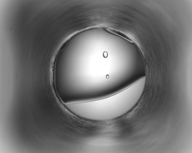 X0000089741151200706210859