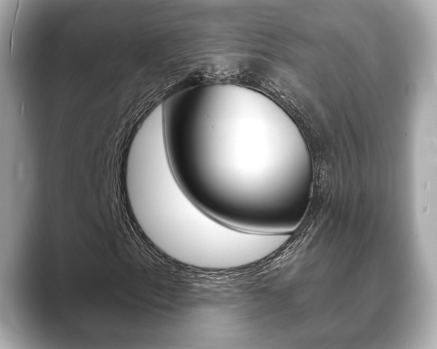 X0000089741153200706210858