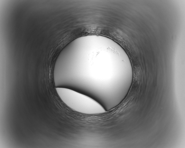 X0000089741154200706210858