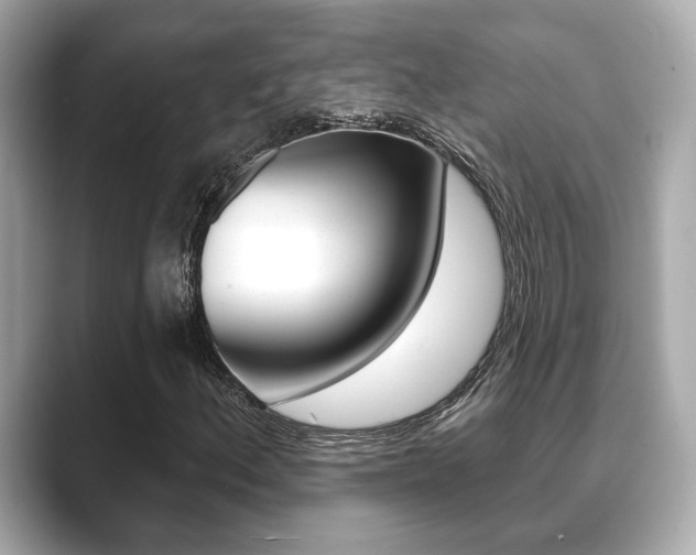 X0000089741156200706210858