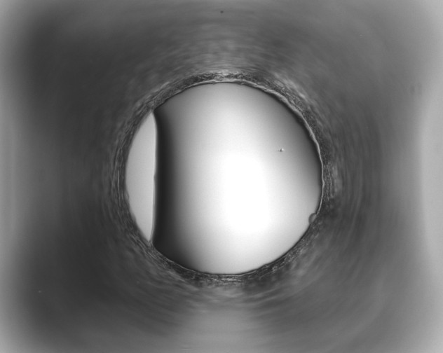 X0000089741158200706210858