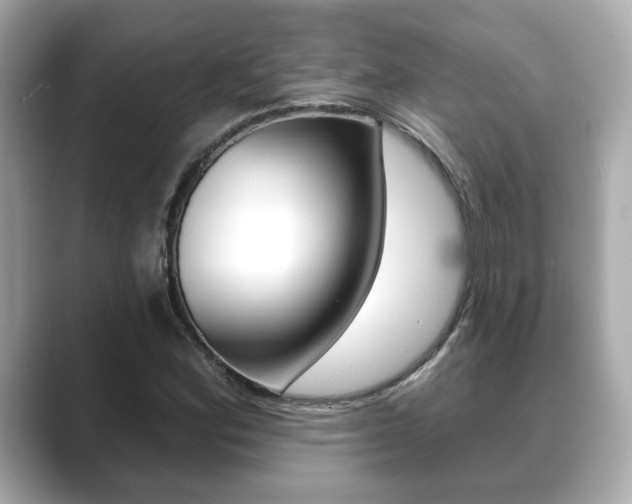 X0000089741164200706210858