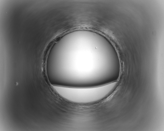 X0000089741165200706210858