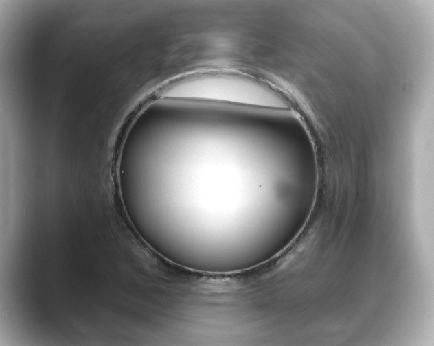 X0000089741168200706210858