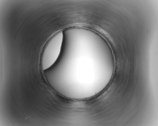 X0000089741170200706210858