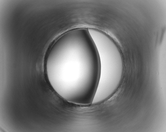 X0000089741173200706210858