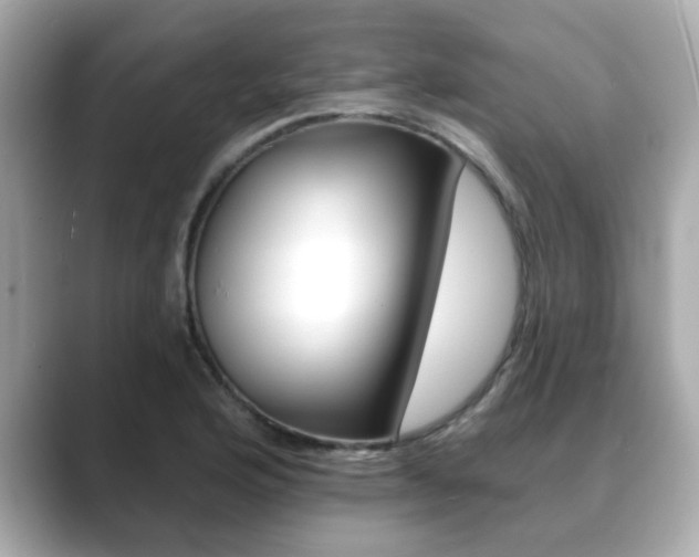 X0000089741176200706210858