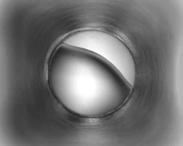 X0000089741180200706210858