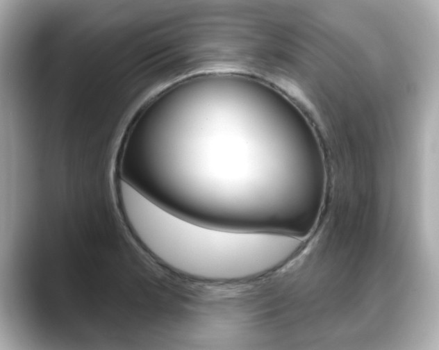X0000089741181200706210858