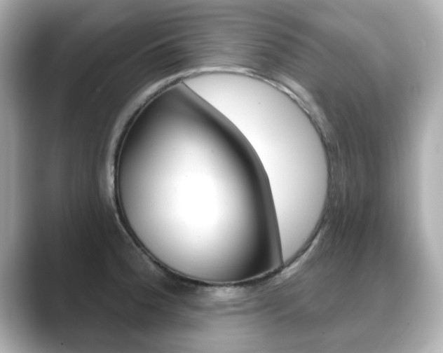 X0000089741188200706210858