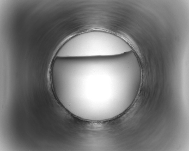 X0000089741190200706210858