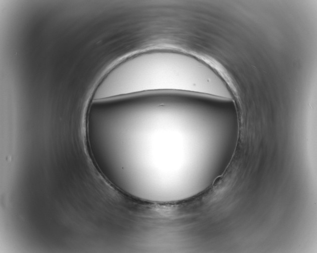 X0000089741191200706210858