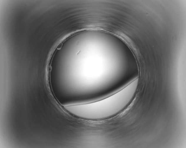 X0000089741196200706210857