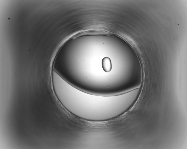 X0000089741200200706210857