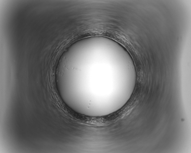 X0000089741201200706210857