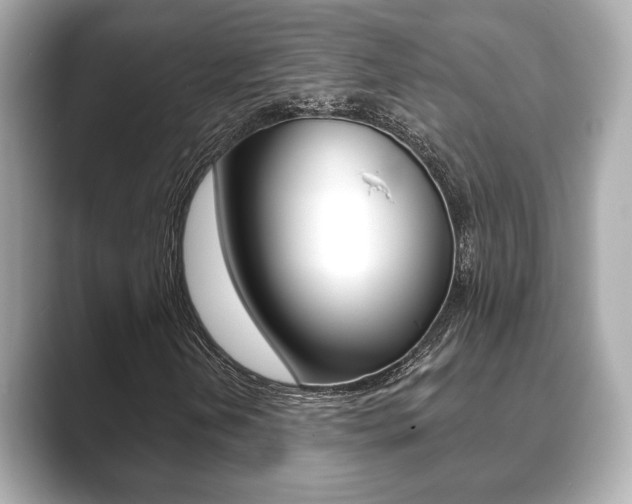 X0000089741202200706210857