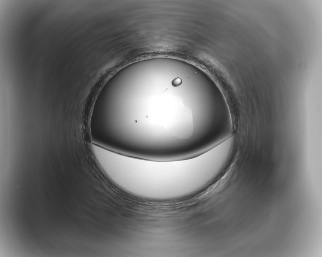 X0000089741210200706210857