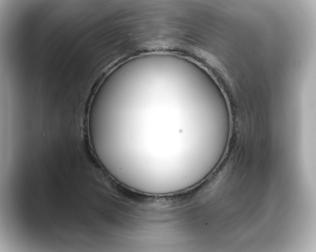 X0000089741217200706210857