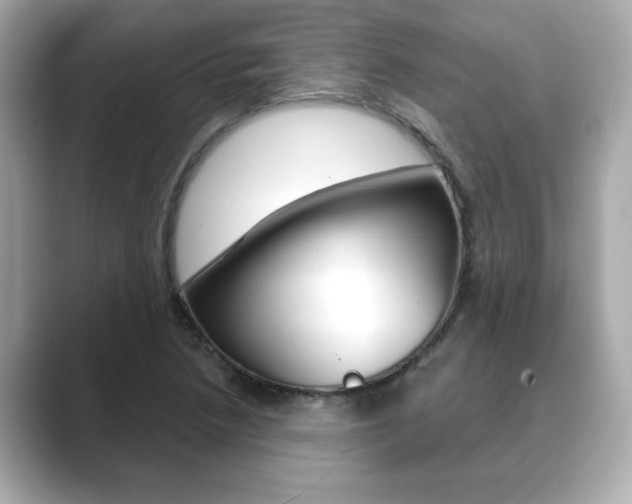 X0000089741218200706210857