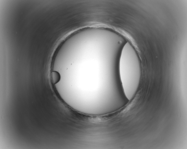 X0000089741231200706210857