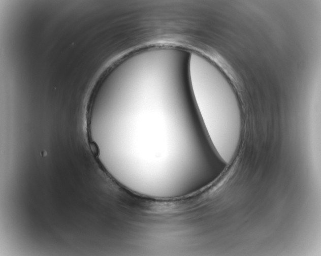 X0000089741232200706210857
