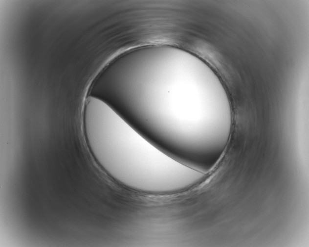 X0000089741236200706210857