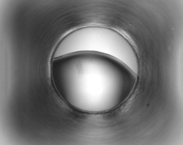 X0000089741238200706210857