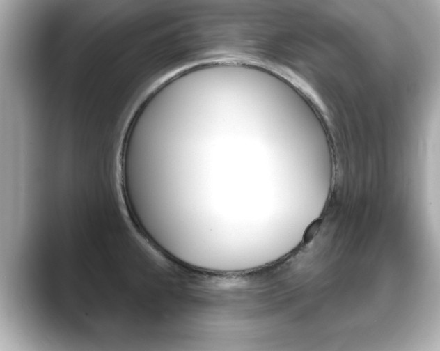 X0000089741239200706210857