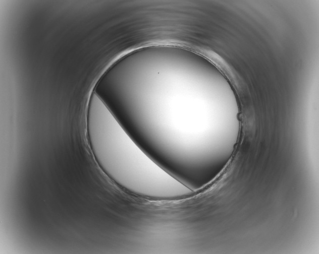 X0000089741244200706210857