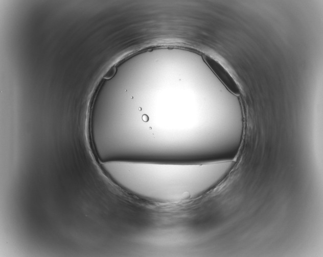 X0000089741245200706210857