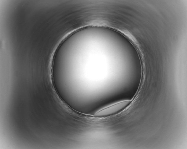 X0000089741248200706210857