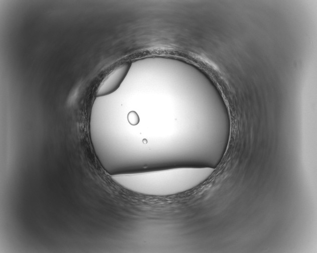 X0000089741255200706210857