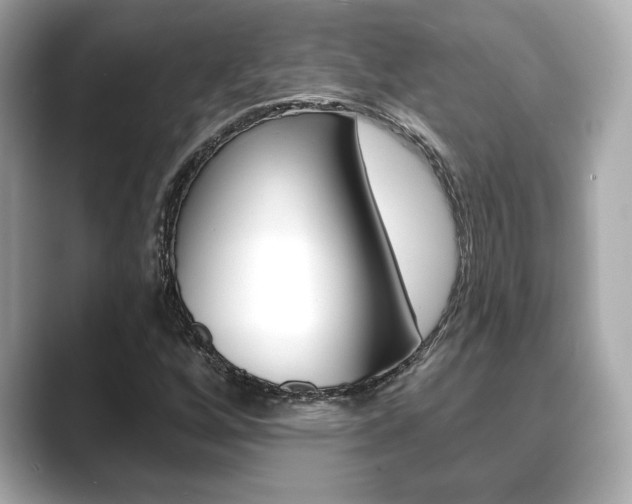 X0000089741256200706210857