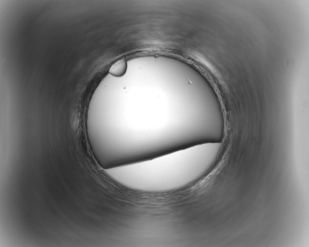 X0000089741259200706210857