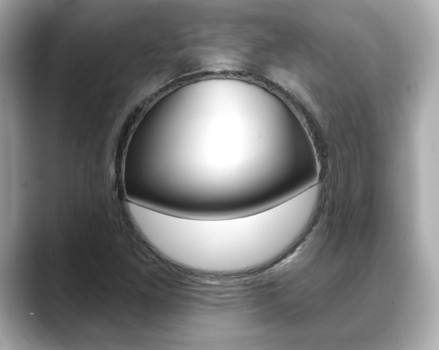 X0000089741261200706210857