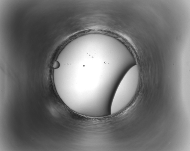 X0000089741263200706210857