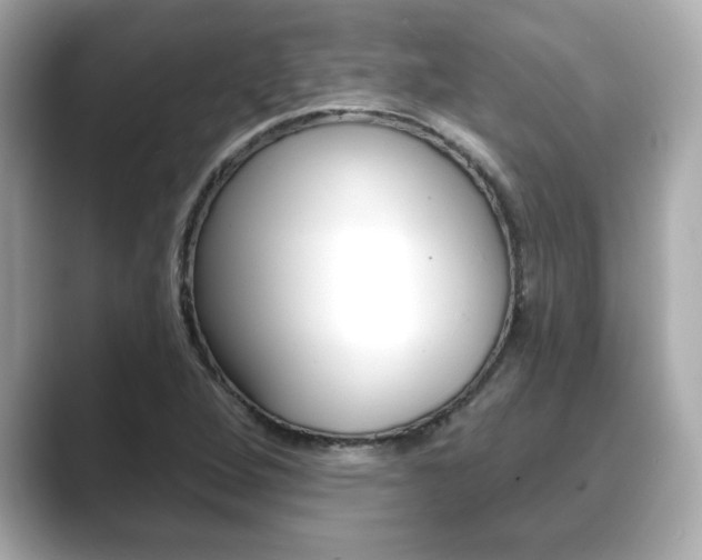 X0000089741264200706210857