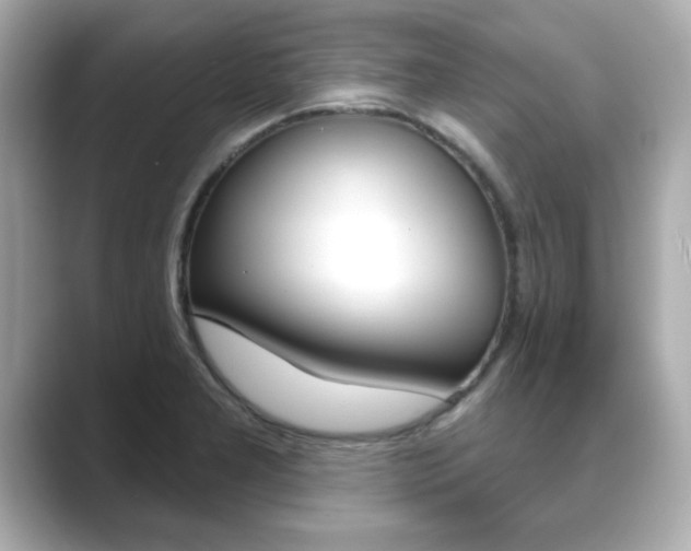 X0000089741277200706210856