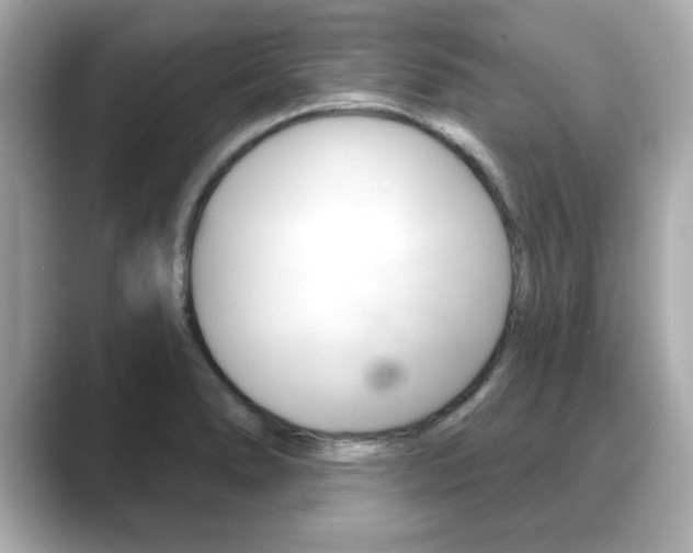 X0000089741278200706210856