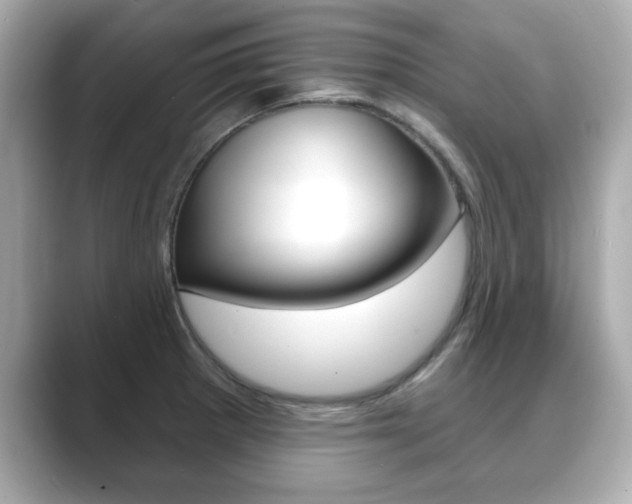 X0000089741281200706210856