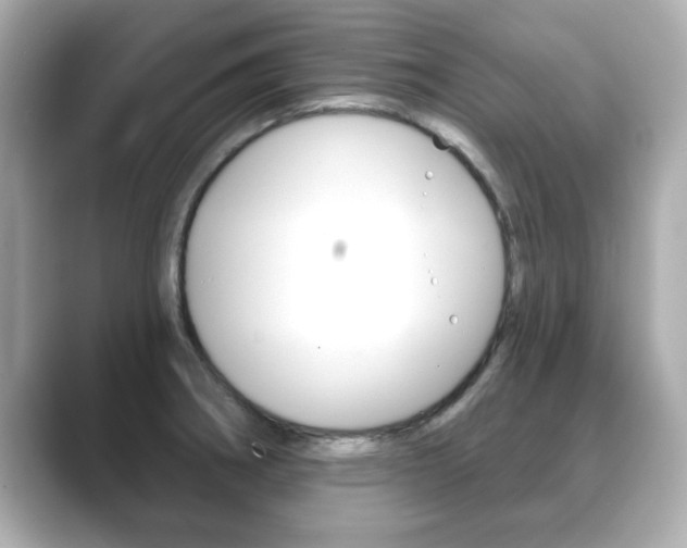X0000089741282200706210856