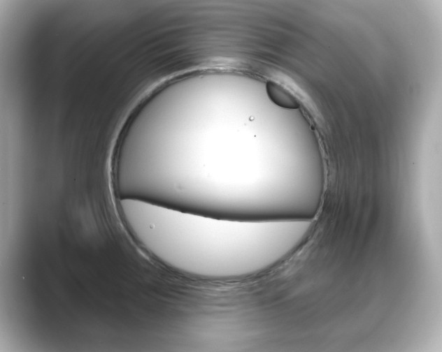 X0000089741283200706210856